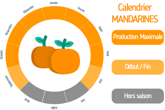 mandarines bio
